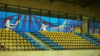 leyu.com-澳大利亚队未来如何利用青训体系打造新一代乒乓巨星，澳大利亚乒乓球